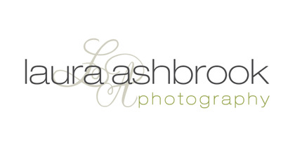 Wedding, Event, and Portrait Photographer Washington DC | Laura Ashbrook Photography